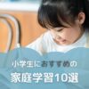 小学生におすすめの家庭学習10選にサムネイル画像