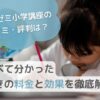 【進研ゼミ小学講座の口コミ・評判は？】調べて分かった驚きの料金と効果を徹底解説のサムネイル画像